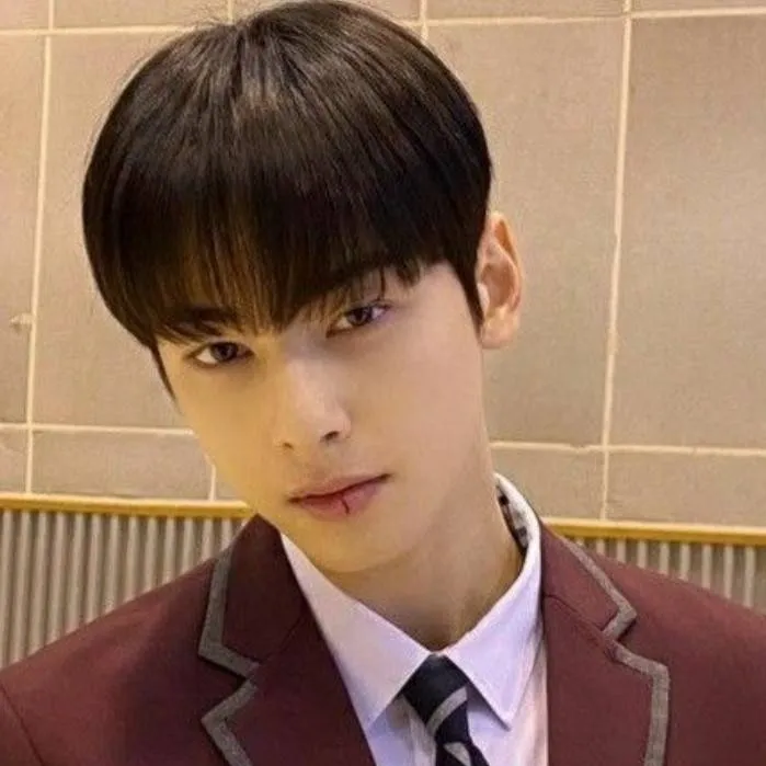 chat with ai character: CHA EUN WOO👊🏻