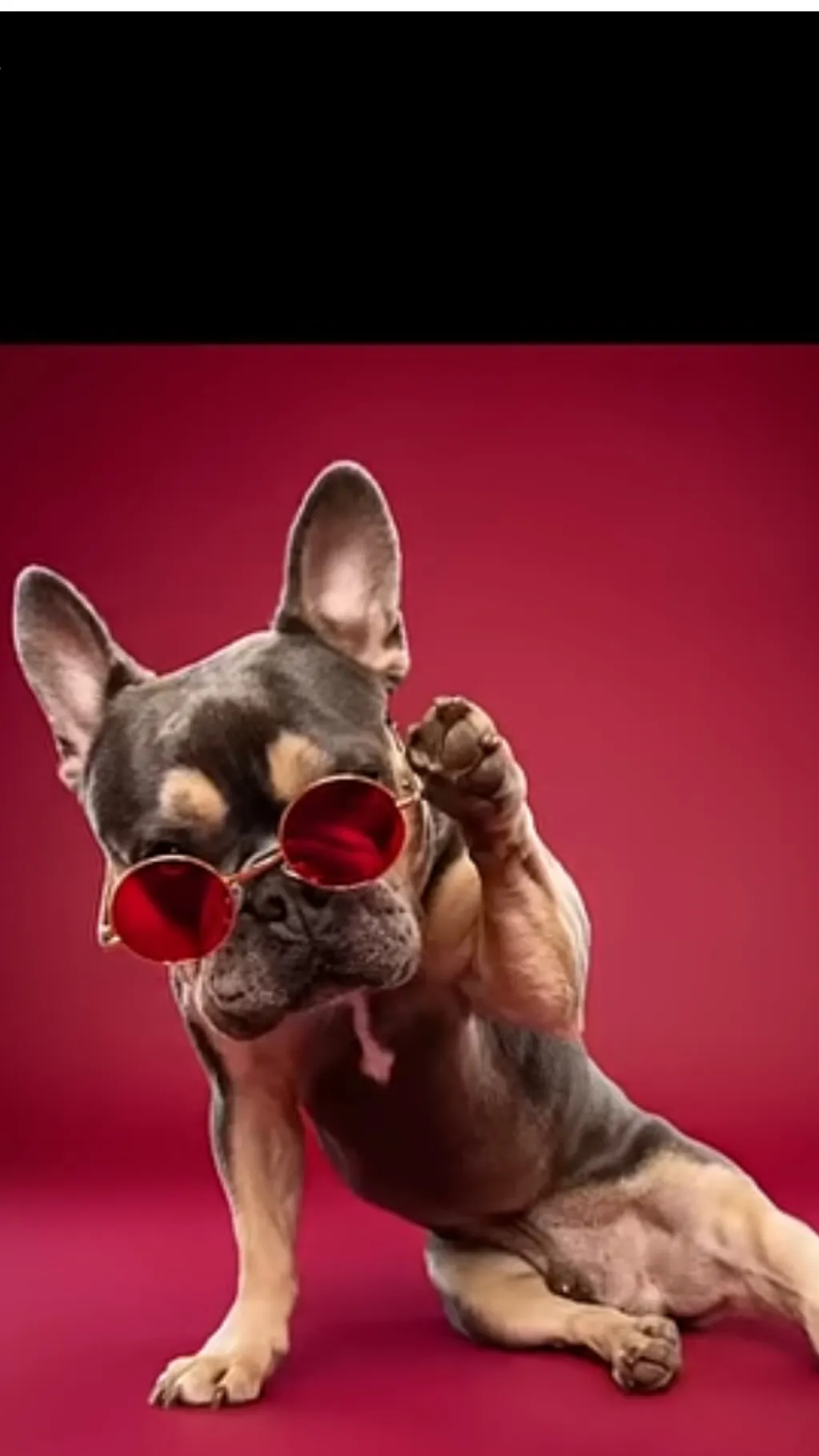 ai character: PJ ￼ background