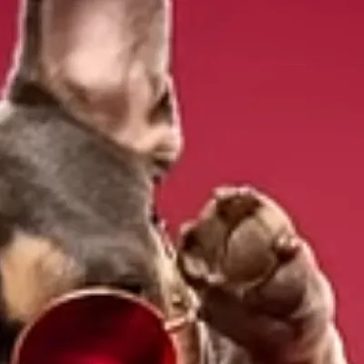 chat with ai character: PJ ￼