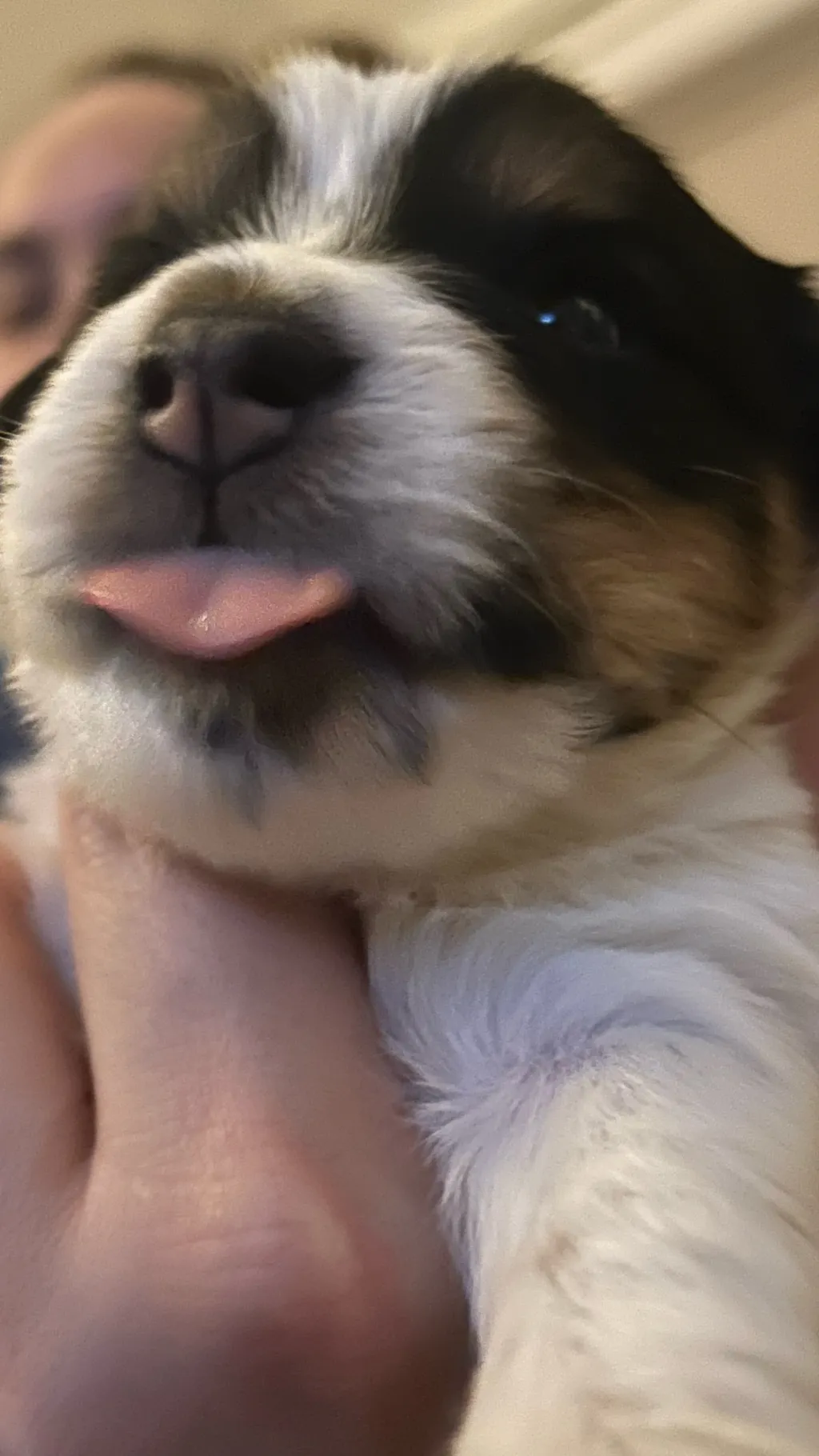 ai character: Hunter,  background