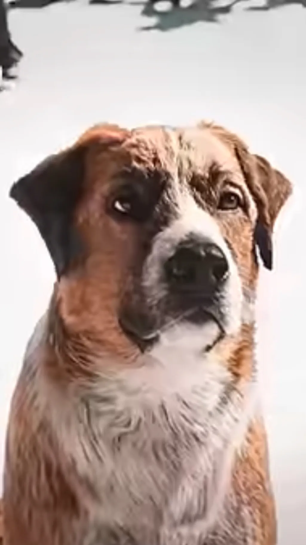 ai character: Buck background