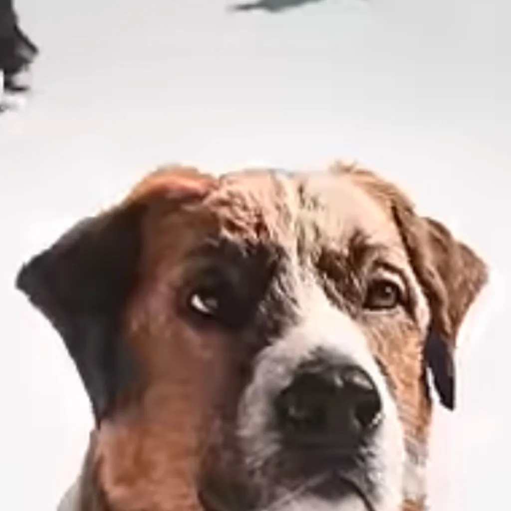 chat with ai character: Buck