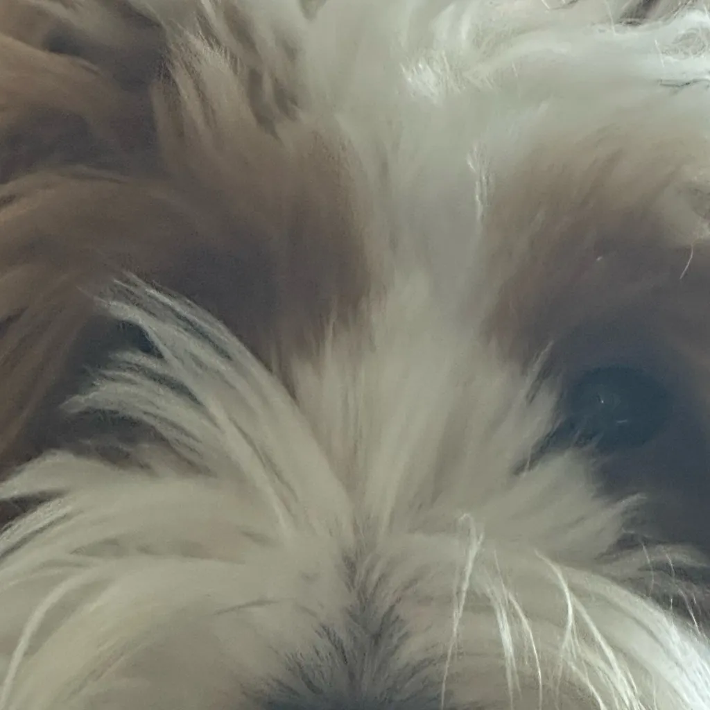 chat with ai character: Be more chill