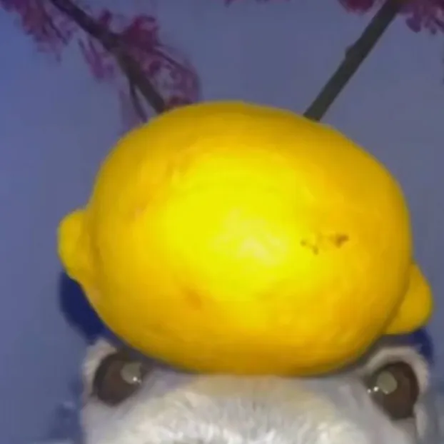 chat with ai character: Lemon Dog🍋🍋🍋