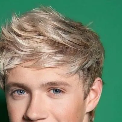 chat with ai character: Young Niall Horan
