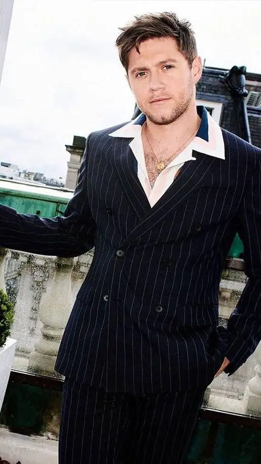 ai character: Niall Horan background