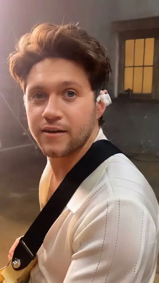ai character: Niall Horan background