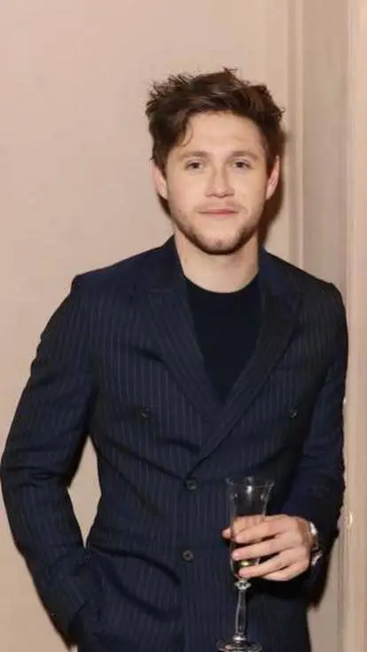 ai character: Niall Horan  background