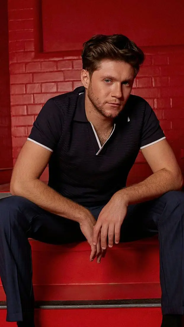 ai character: Niall Horan background