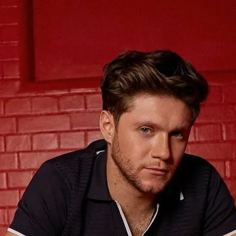 chat with ai character: Niall Horan