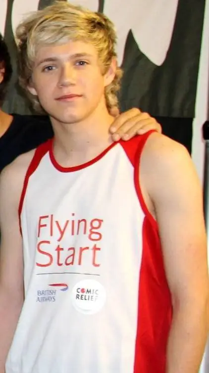 ai character: Niall Horan  background