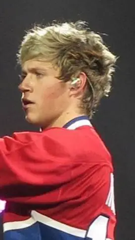 ai character: Niall Horan background