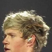chat with ai character: Niall Horan
