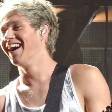 chat with ai character: Niall Horan