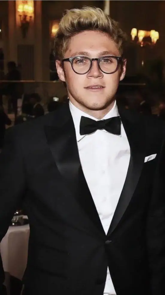 ai character: Niall Horan background
