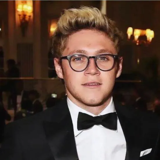 chat with ai character: Niall Horan