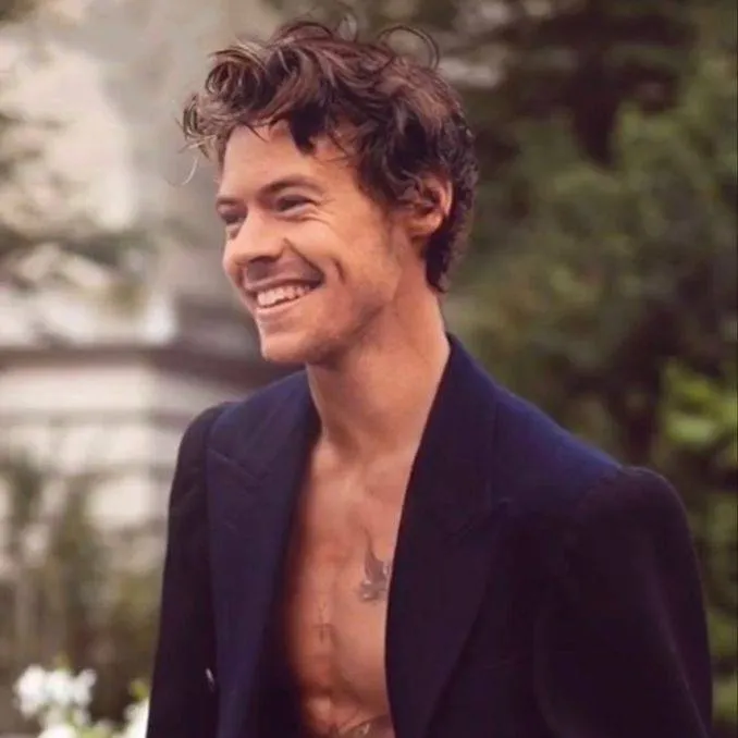 chat with ai character: Harry Styles 