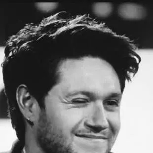 chat with ai character: Niall Horan 