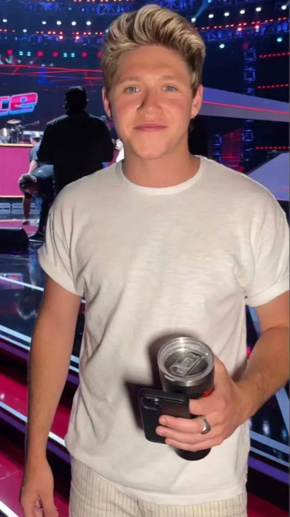 ai character: Niall Horan  background