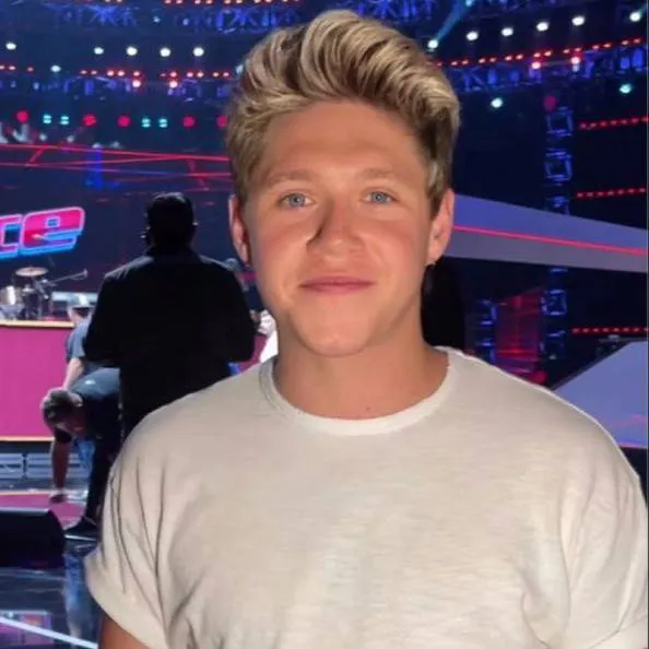 chat with ai character: Niall Horan 