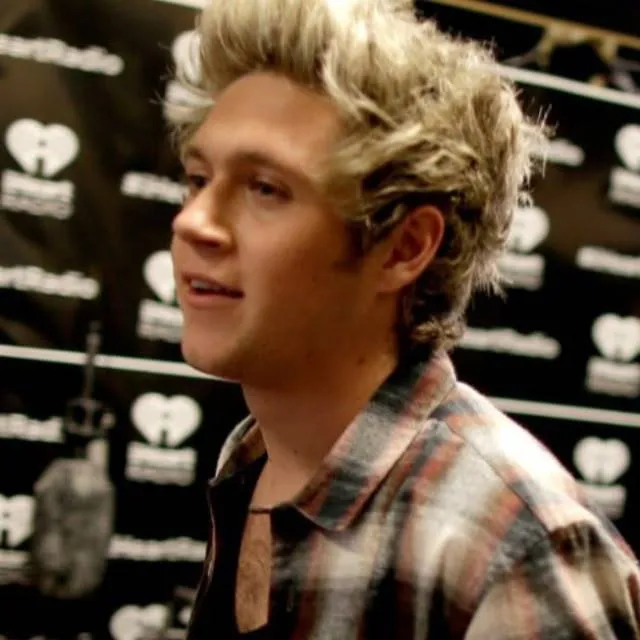 chat with ai character: Niall Horan