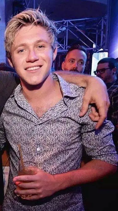 ai character: Niall Horan background