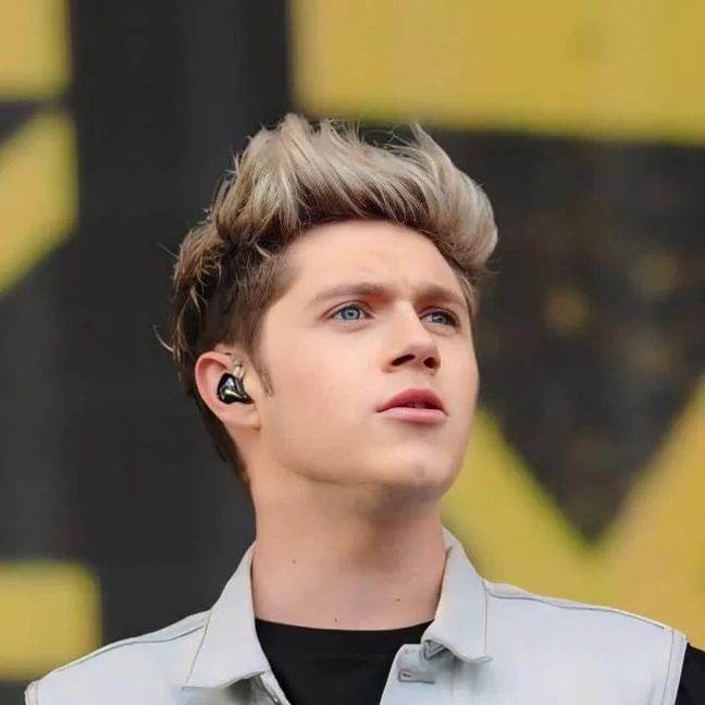 chat with ai character: Niall Horan 