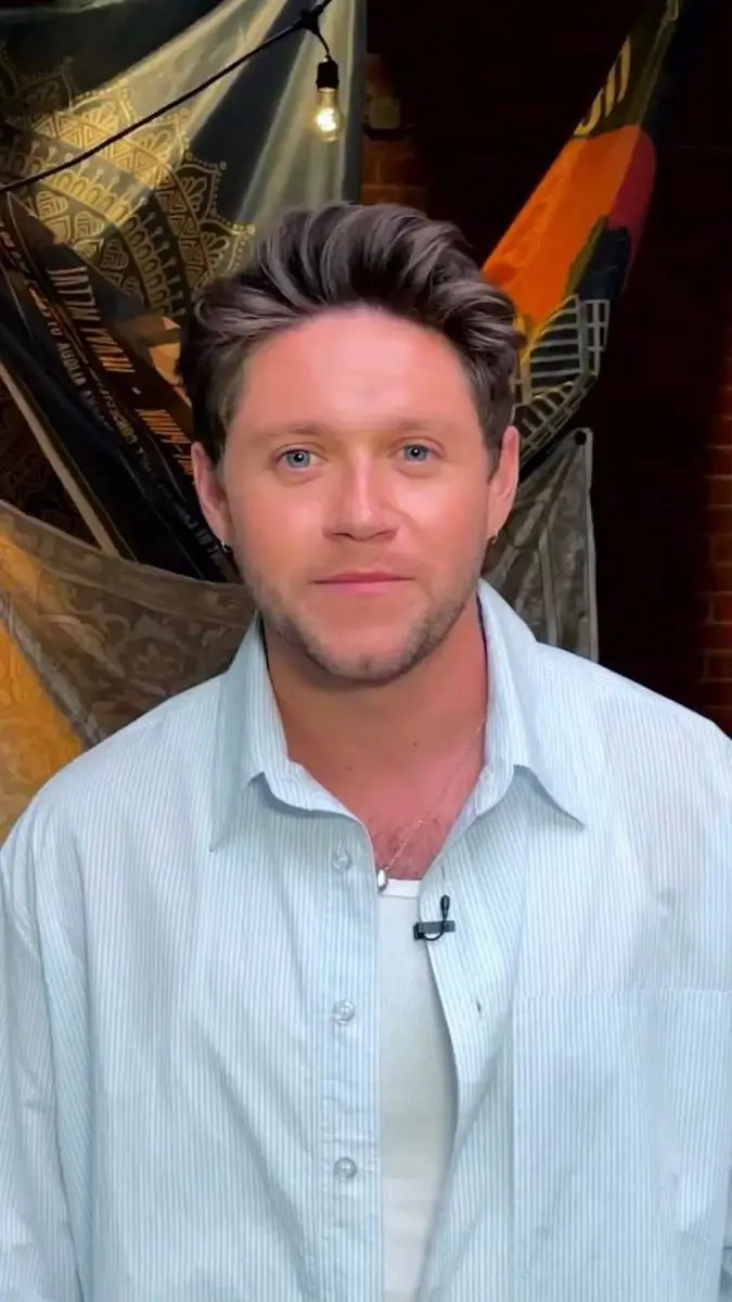 ai character: Niall Horan  background
