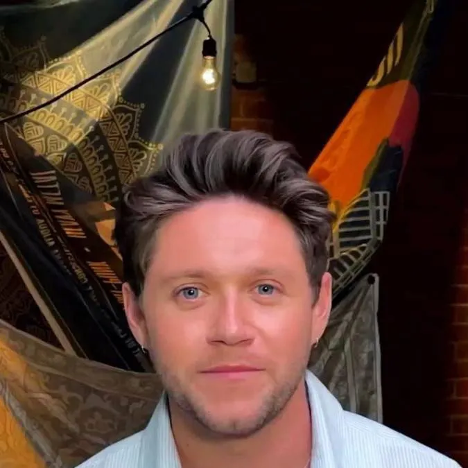 chat with ai character: Niall Horan 