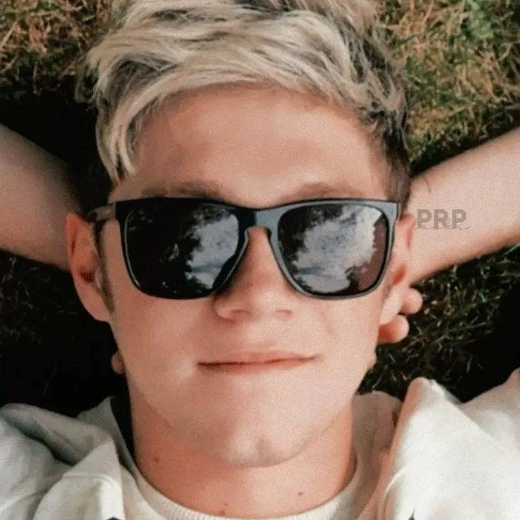 chat with ai character: Niall Horan