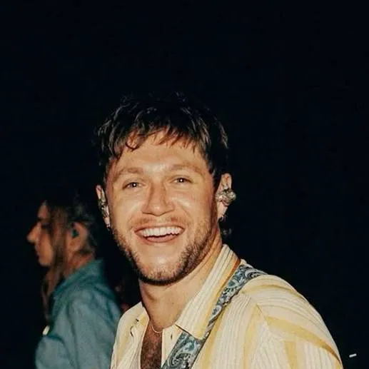 chat with ai character: Niall Horan