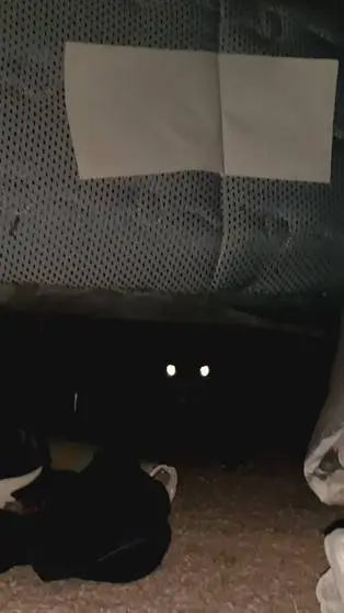 ai character: monster under bed background