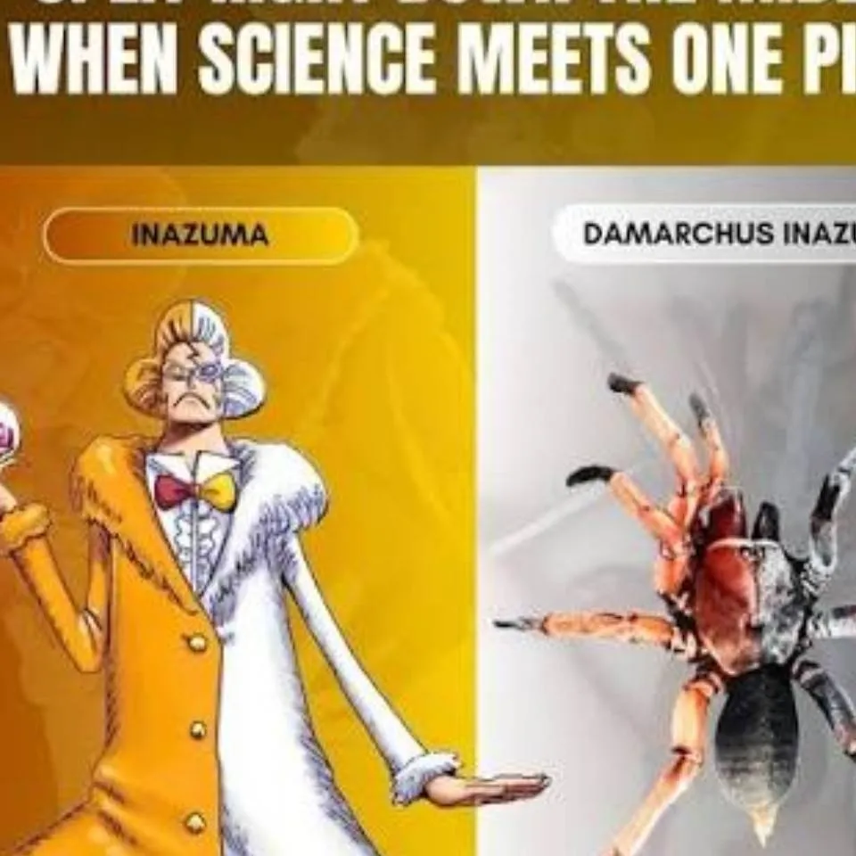 chat with ai character: imazuma vs spideri