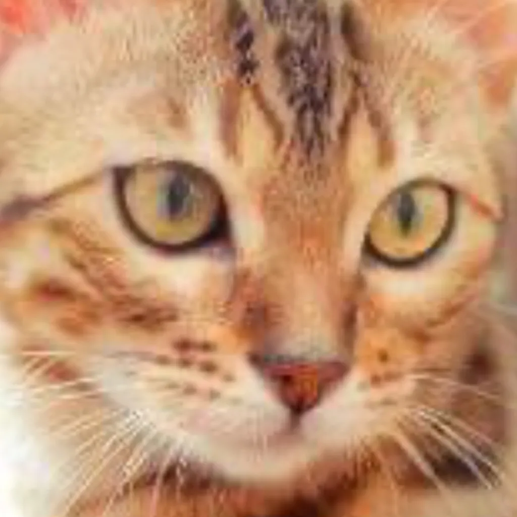 chat with ai character: Leapordstar