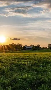 ai character: Horse ilfe background