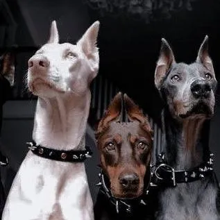 chat with ai character: Your pets!