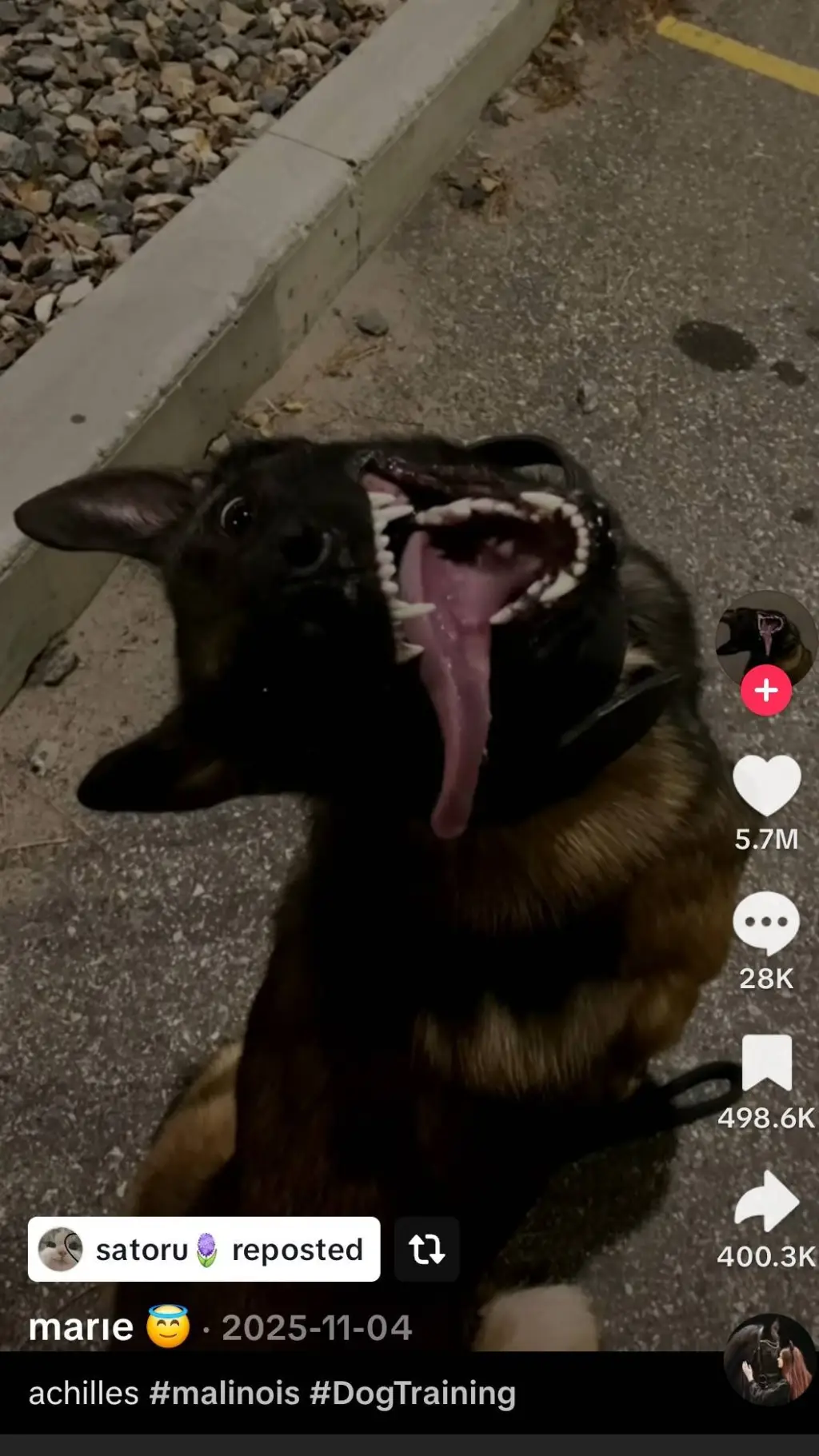 ai character: Roxy!+ background