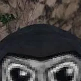 chat with ai character: gorilla tag