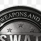 chat with ai character: directeur du SWAT