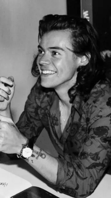 ai character: harry styles  background