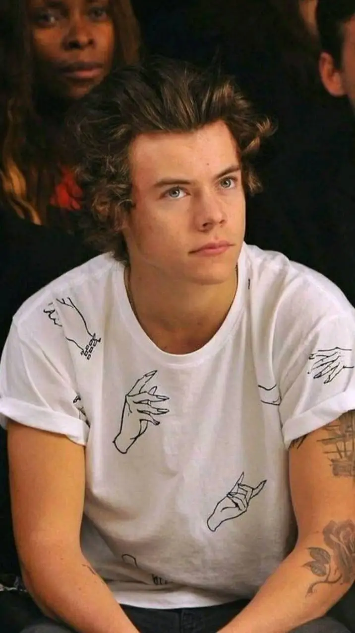 ai character: harry styles background