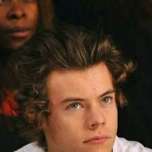 chat with ai character: harry styles