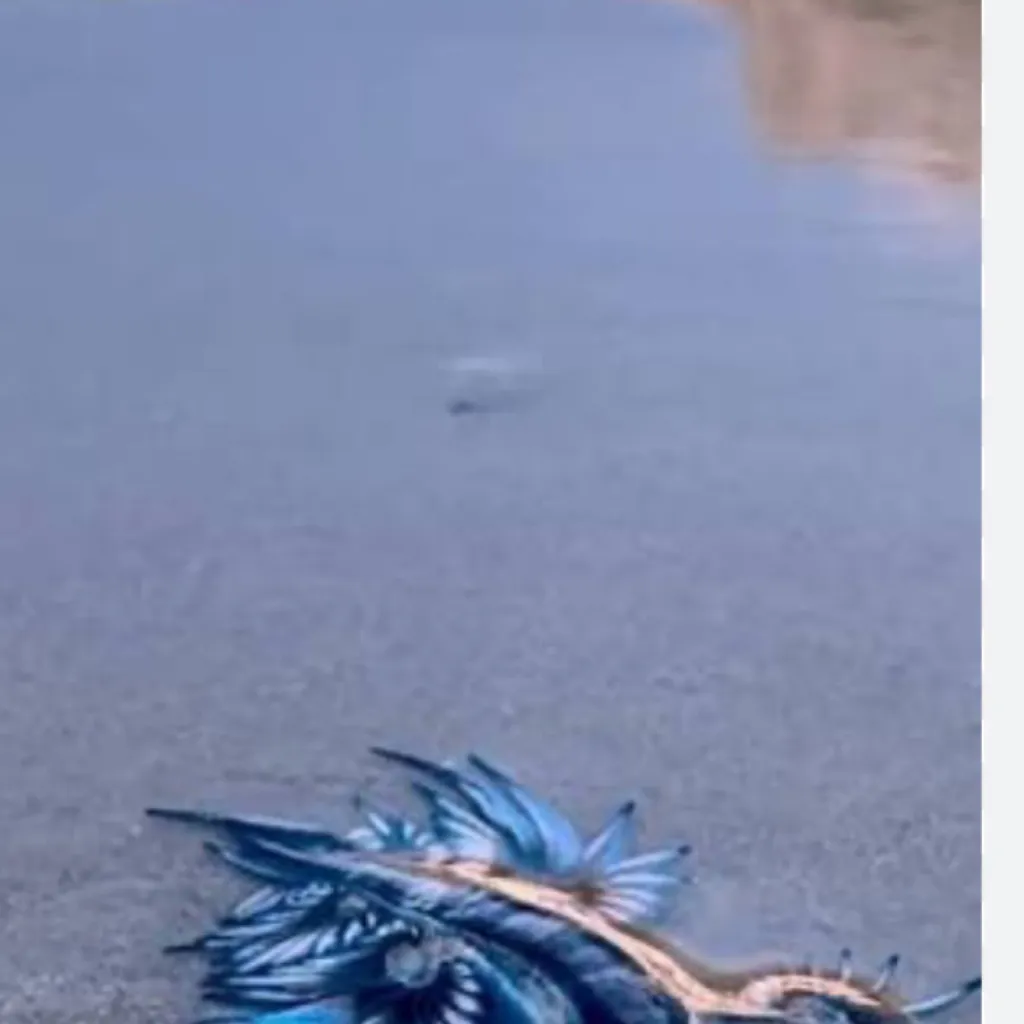 chat with ai character: Blue Dragon sea