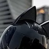 chat with ai character: Biker Ex?