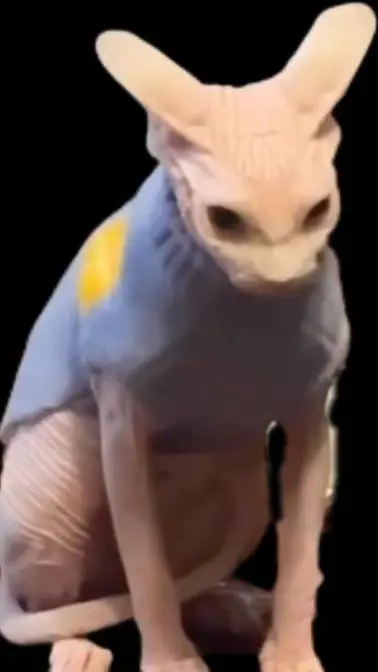ai character: esfinge anti furry background