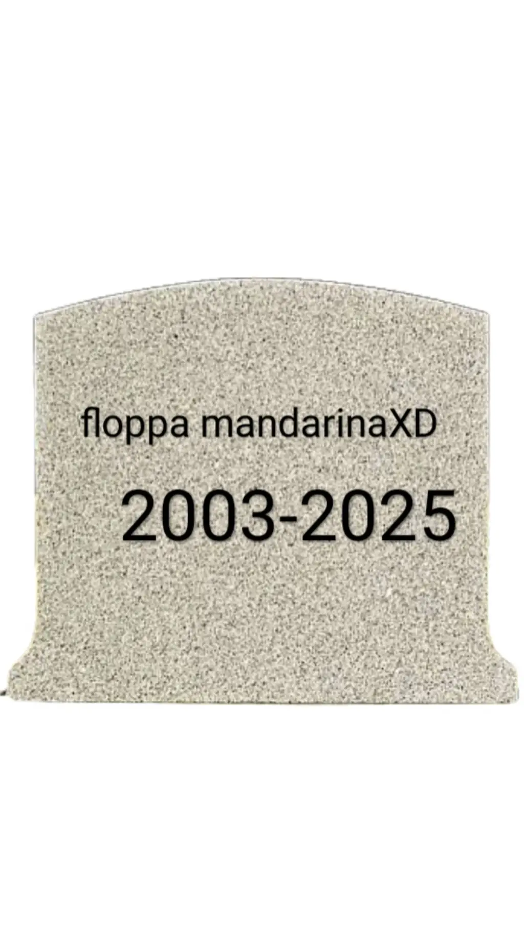 ai character: floppa mandarina? background