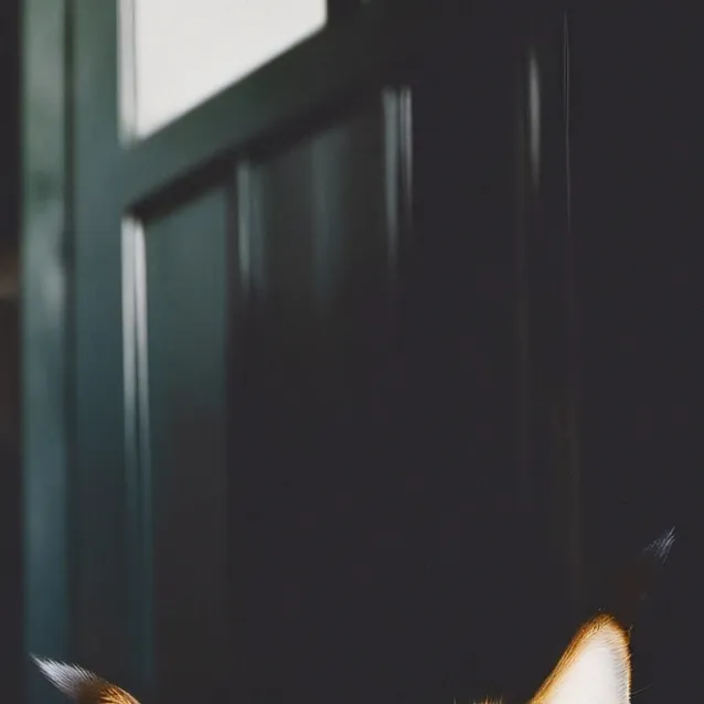 chat with ai character: Sprunki Horror Esp