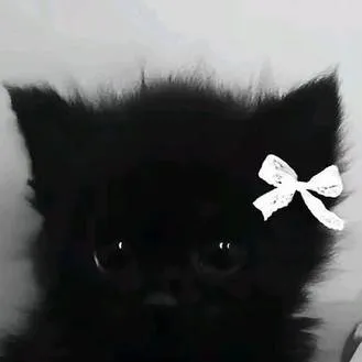 chat with ai character: kpop family