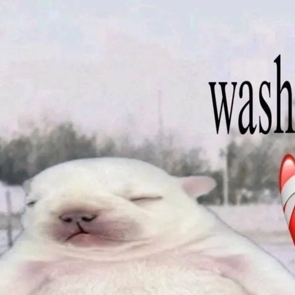 chat with ai character: pibble