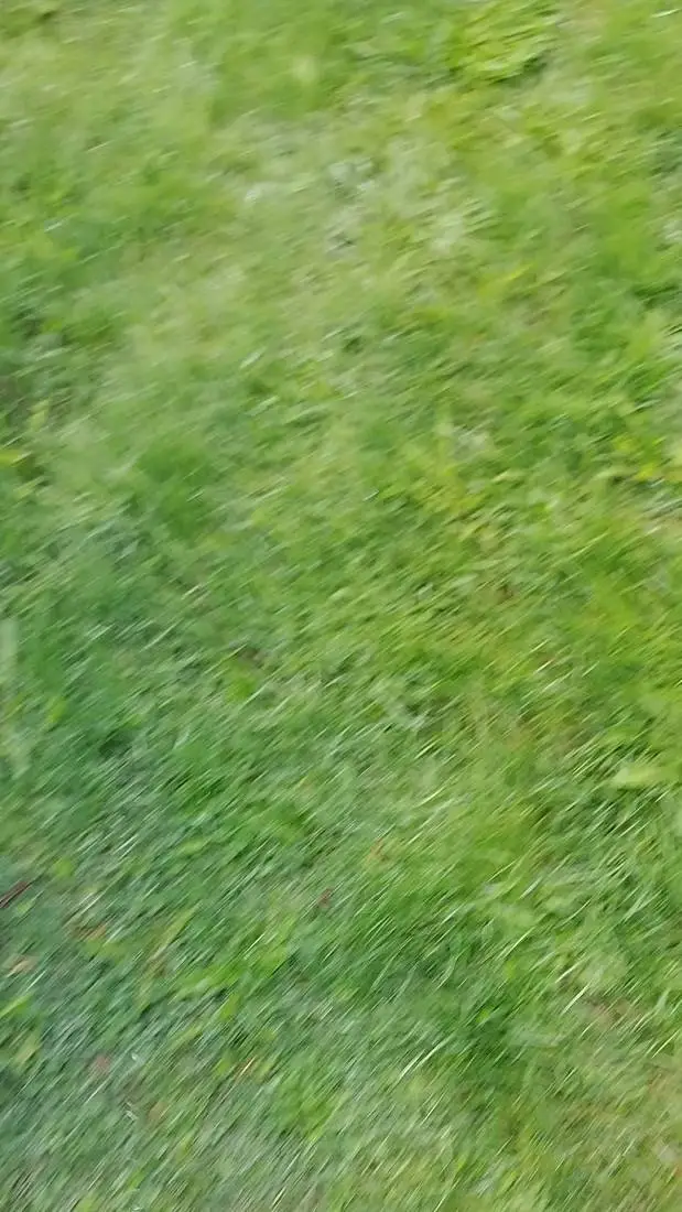 ai character: Maze runner  background